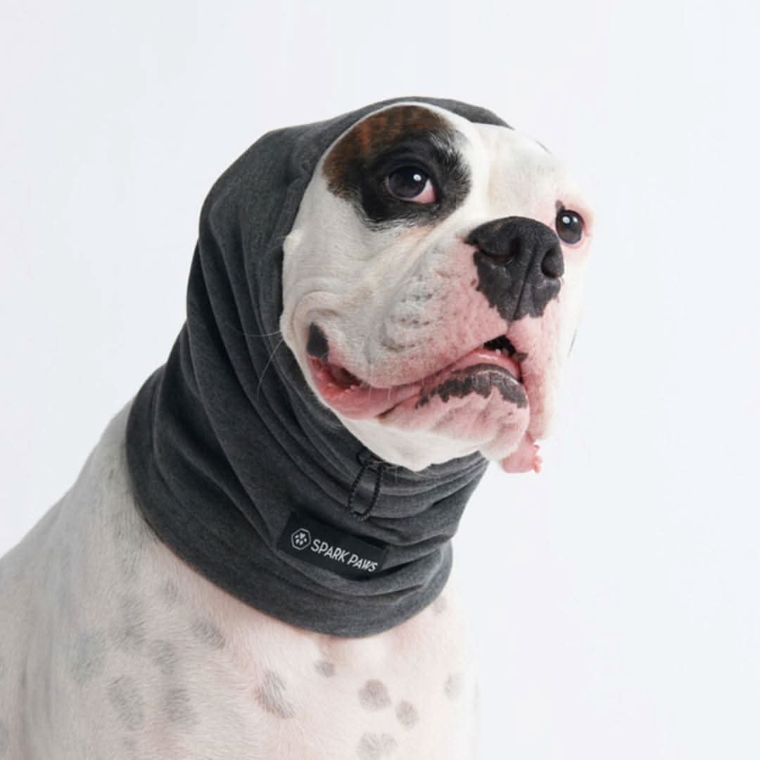 Leg Warmer and Earmuff Protector Set - Grey