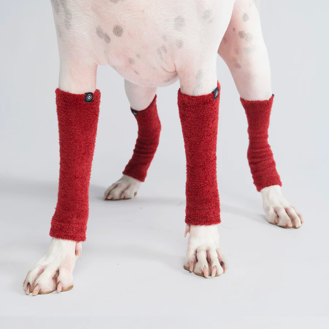 Leg Warmer and Earmuff Protector Set - Red