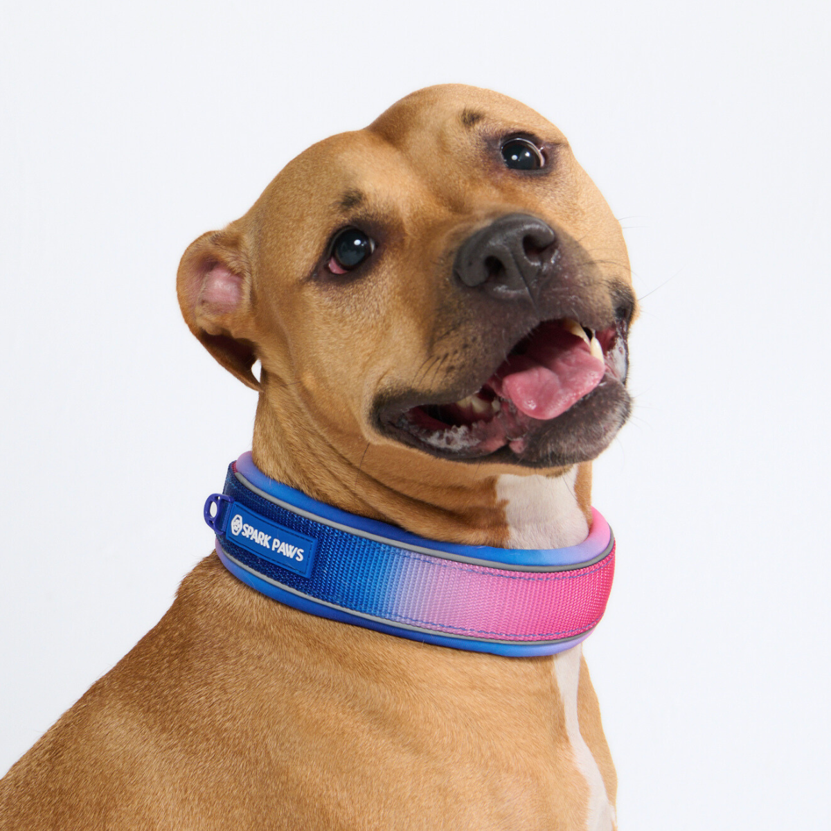 Snow Cone Martingale Collar||size:C,D,E