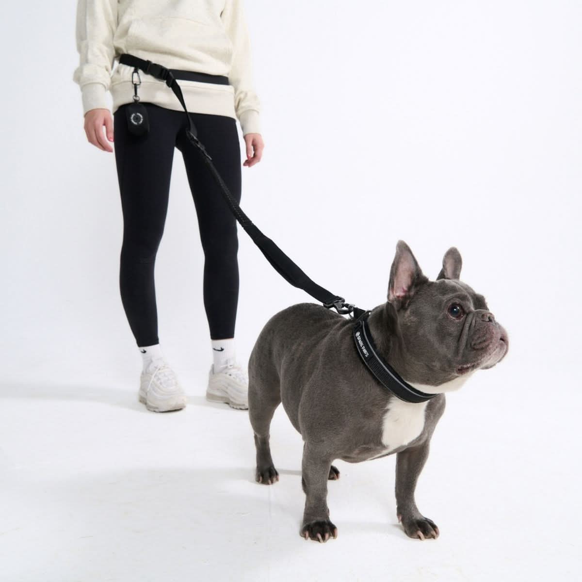 Multipurpose Seatbelt Handsfree Leash & Poop Bag Holder Set - Black