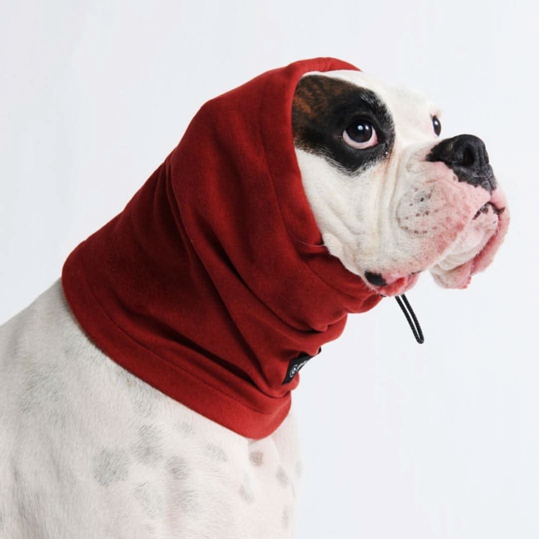 Leg Warmer and Earmuff Protector Set - Red