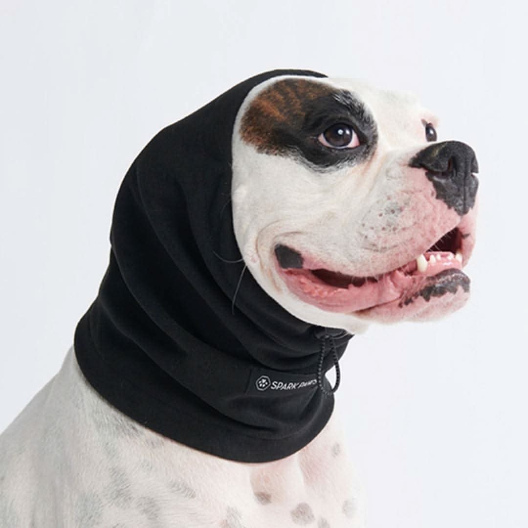 Leg Warmer and Earmuff Protector Set - Black