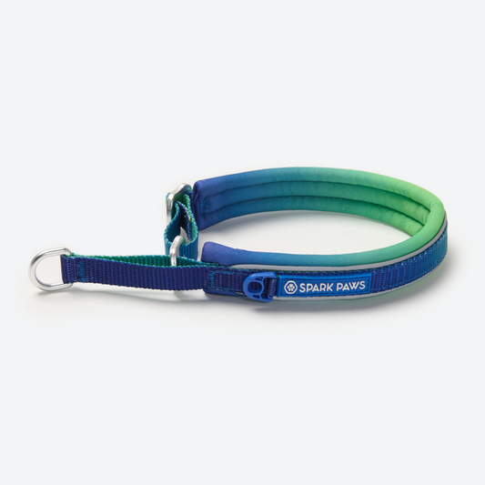 Lime Wave Martingale Collar||size:A,B