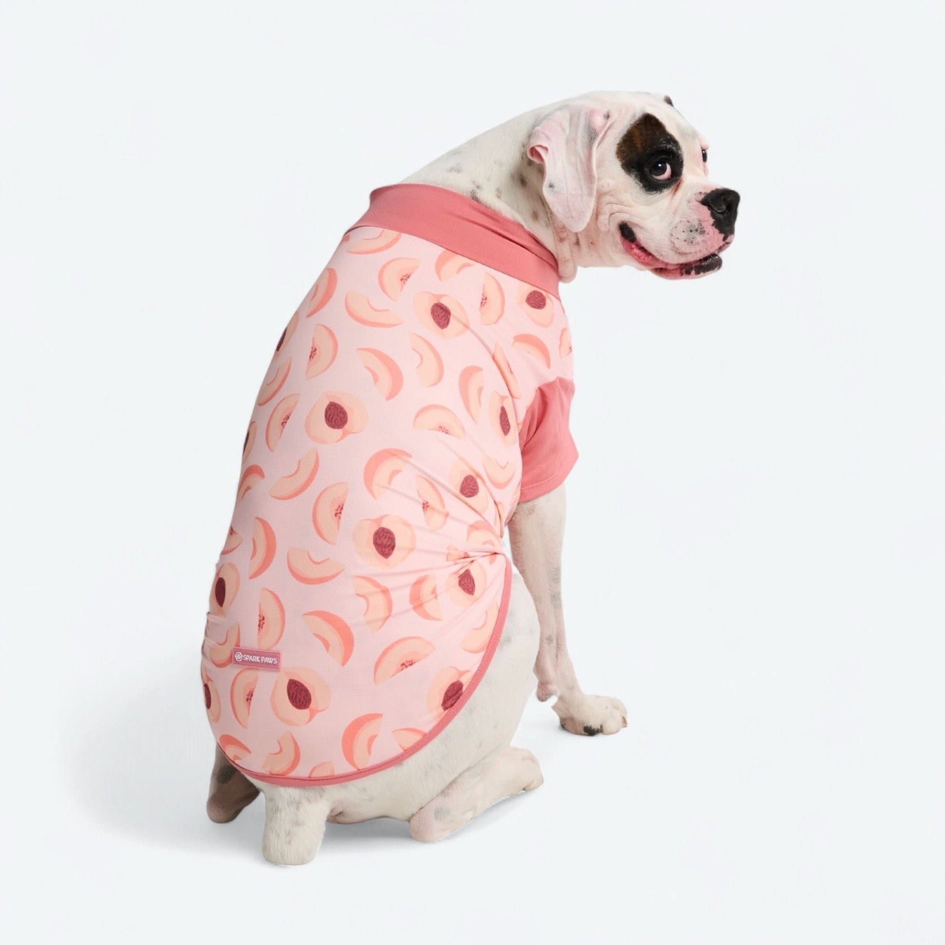 Sunblock Shirt - Peaches