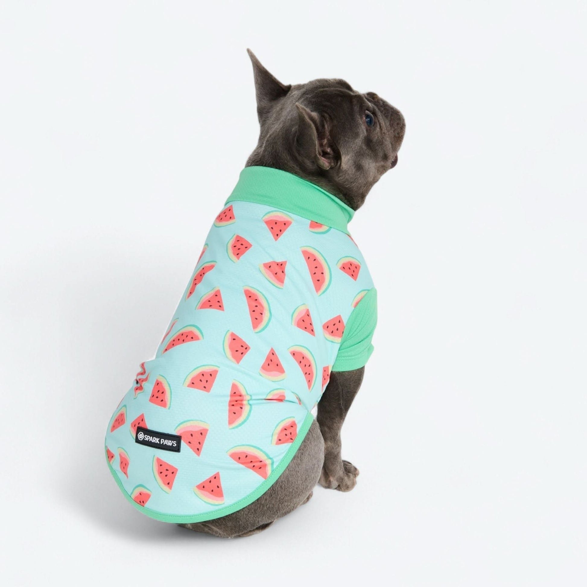 Sunblock Shirt - Watermelon