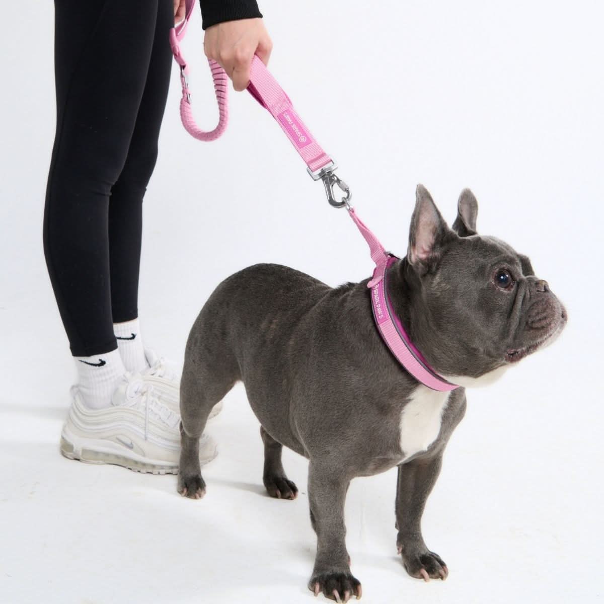 Pink Martingale Collar||size:A,B