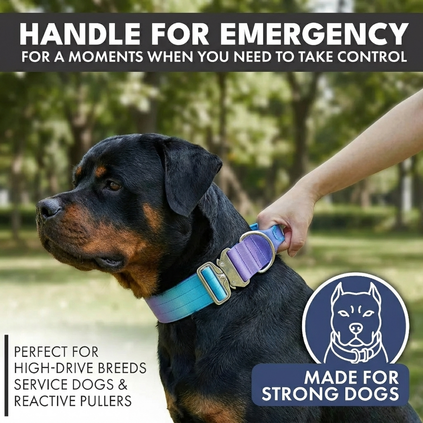 Comfort Control Collar - 90s Retro