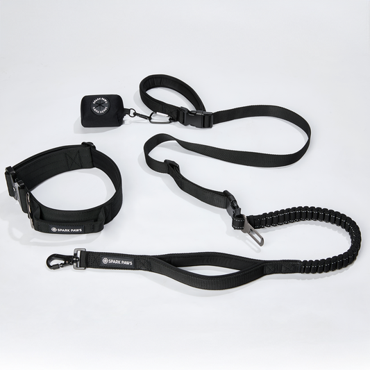 Black Collar||size:XS,S,M,L