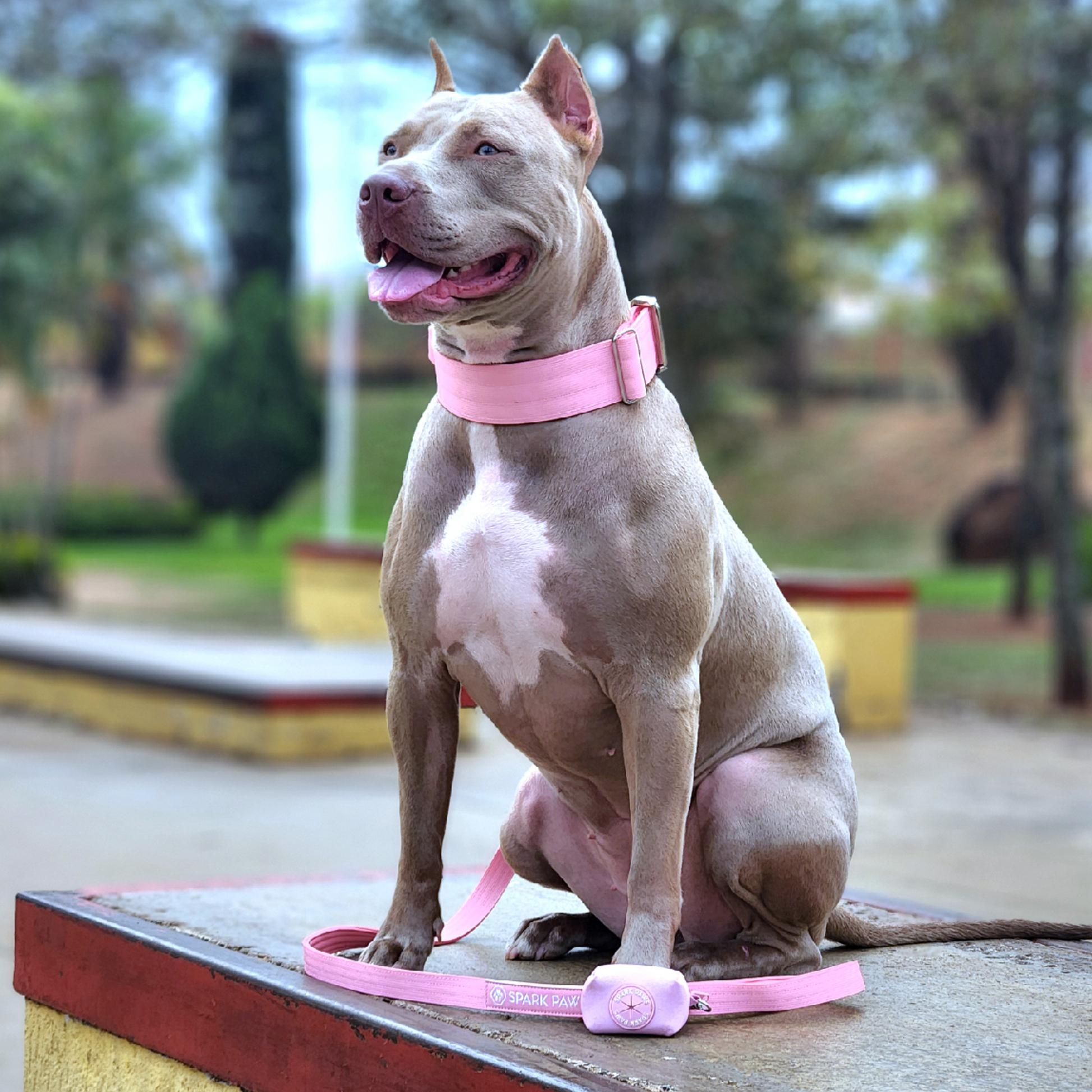 Pink Collar