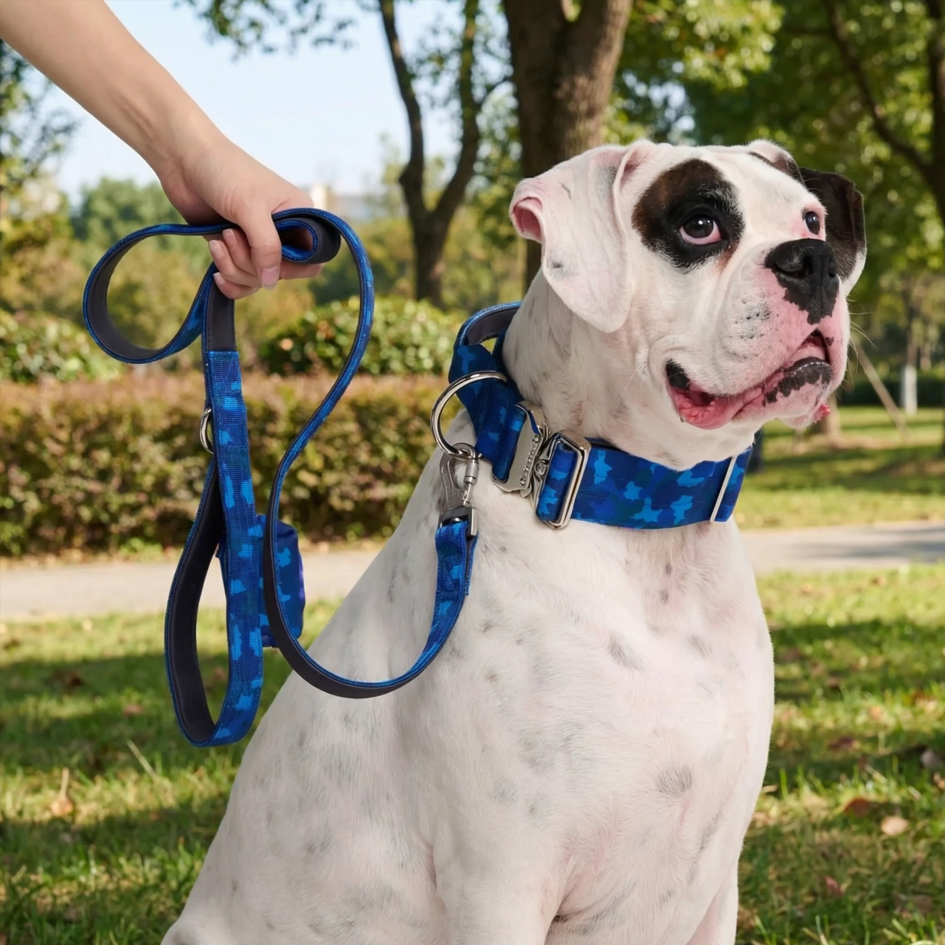 Blue Camo Collar