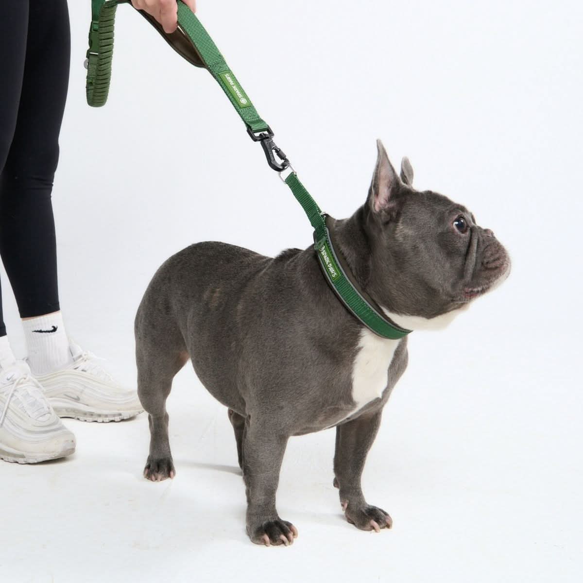 Green Martingale Collar||size:A,B