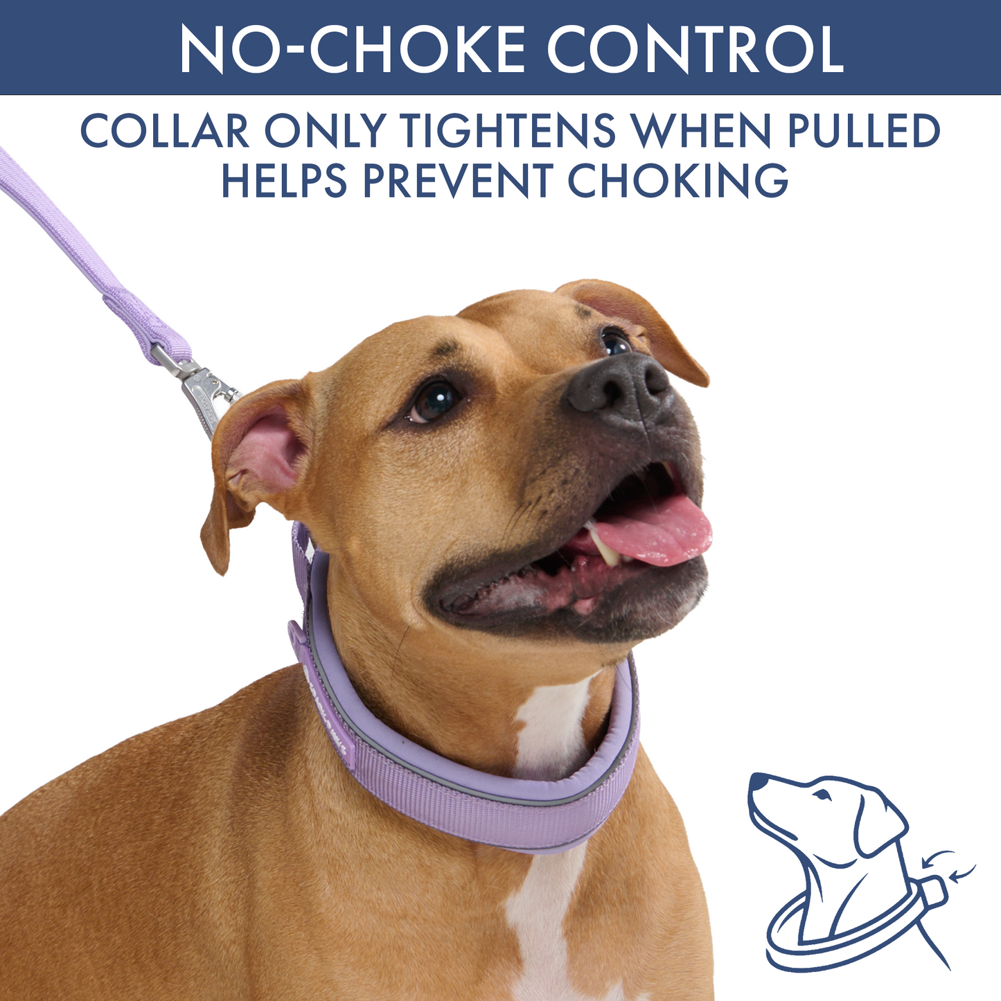 Lilac Martingale Collar||size:C,D,E