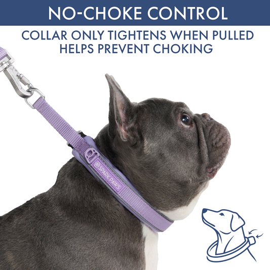 Lilac Martingale Collar||size:A,B