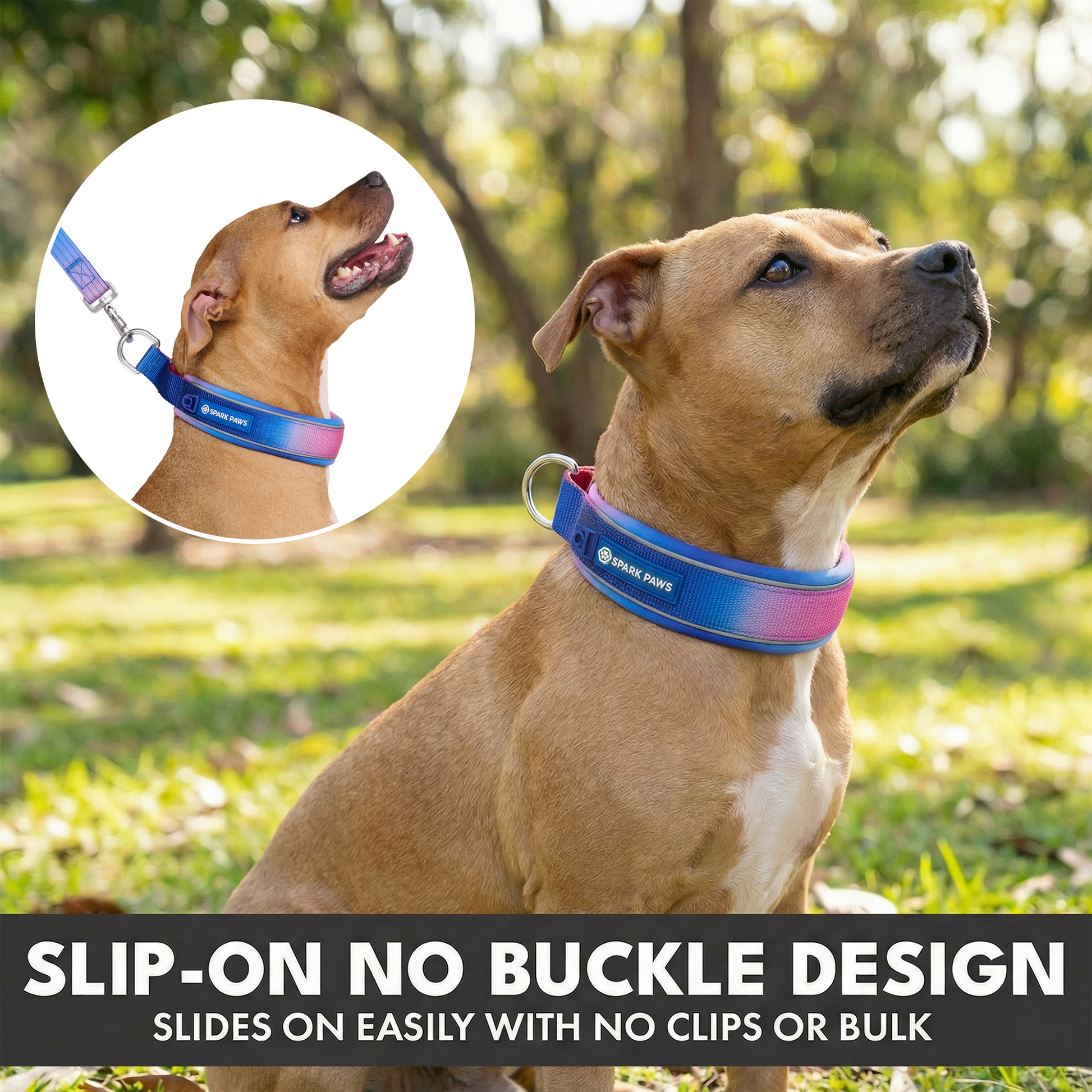 Snow Cone Martingale Collar||size:C,D,E