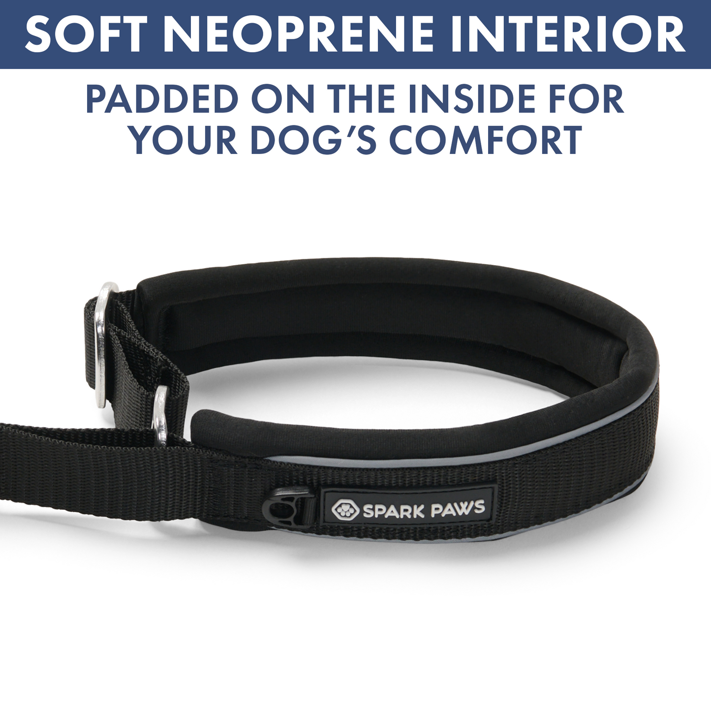 Black Martingale Collar||size:A,B,C,D,E