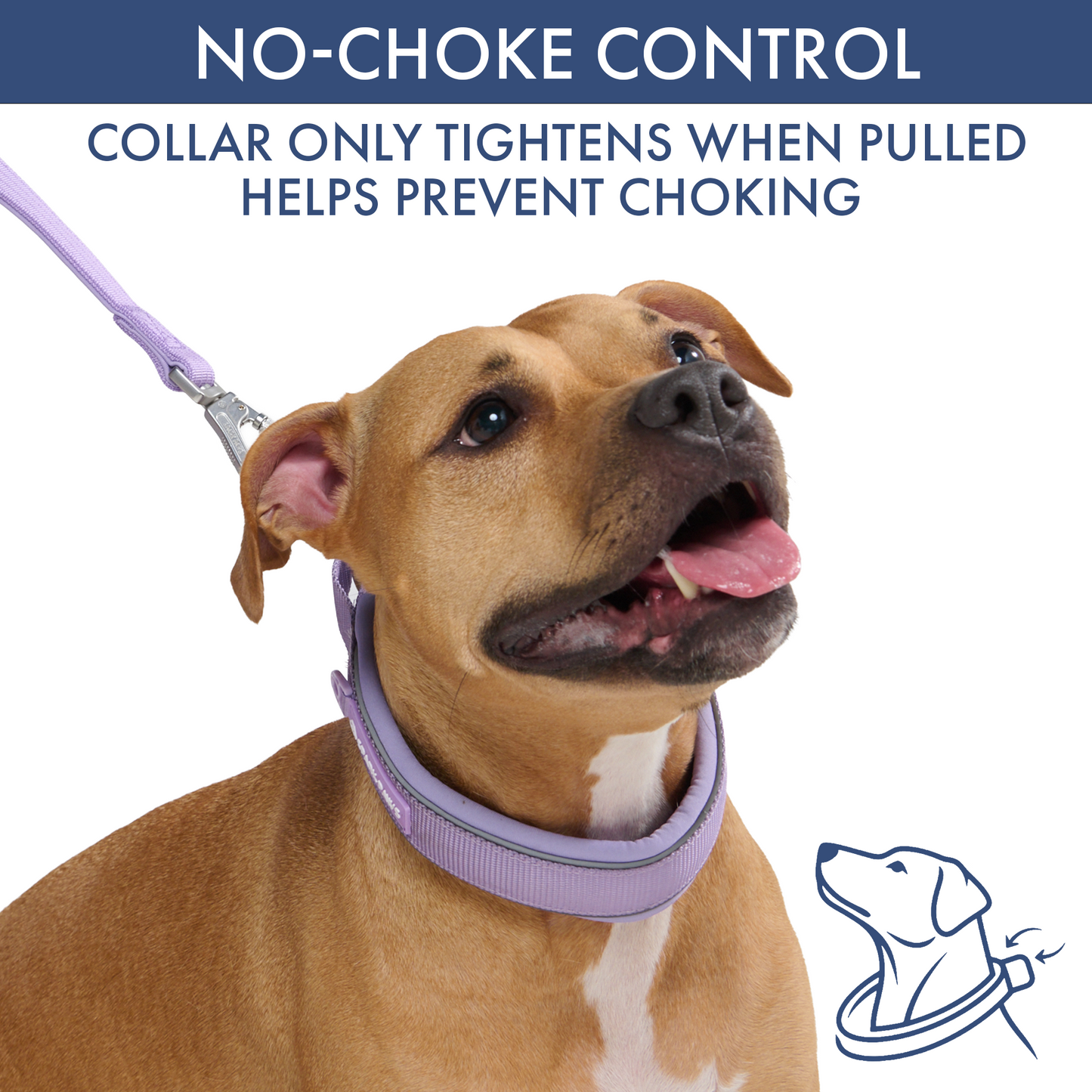 Lilac Martingale Collar||size:C,D,E