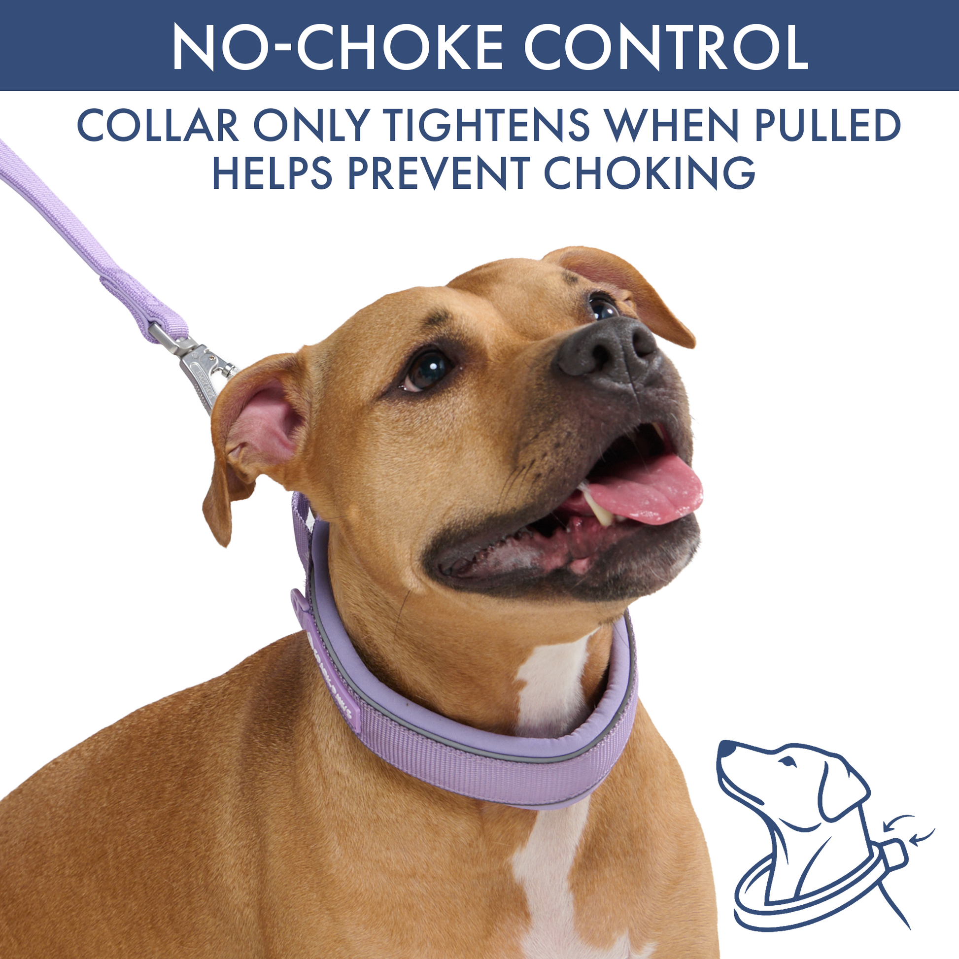 Lilac Martingale Collar||size:C,D,E