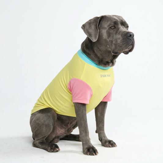Yuzu Shirt||size:4XL,5XL