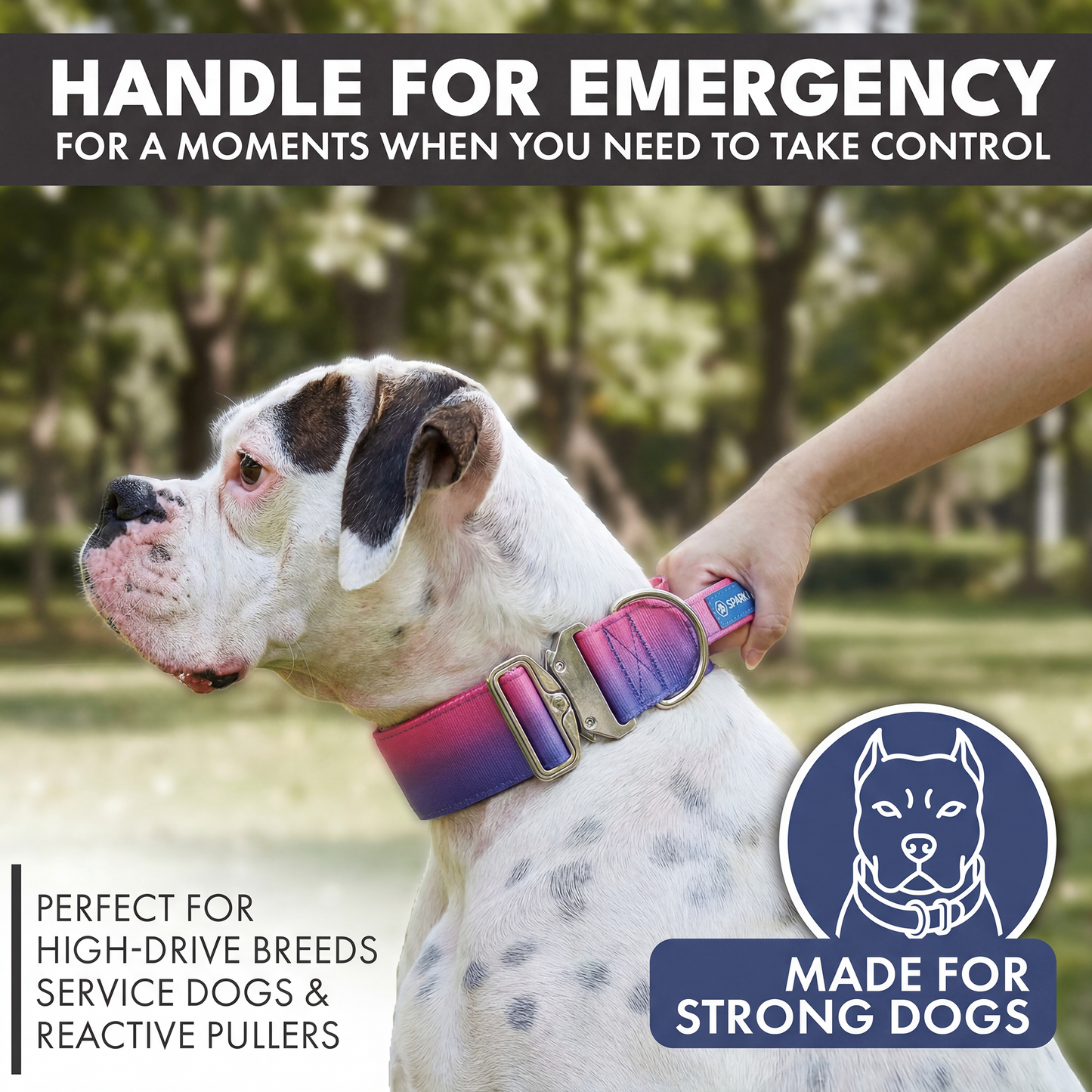 Comfort Control Collar - Snow Cone