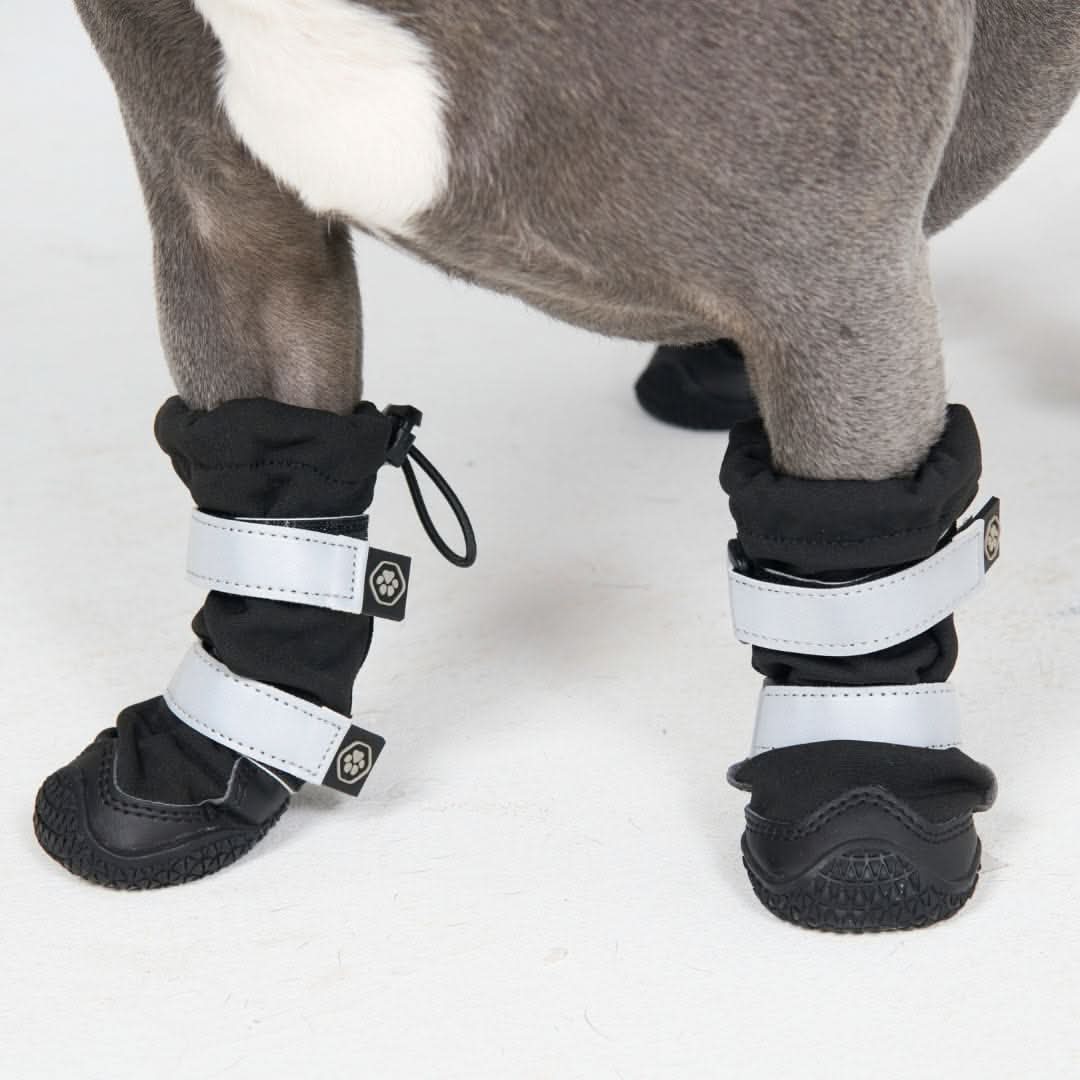 Dog Rainboots, Waterproof Dog Shoes - Black